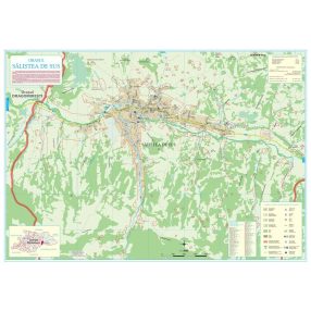 Harta Orașului Săliștea de Sus MM - șipci de lemn