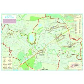 Harta Comunei Recea MM - șipci de lemn