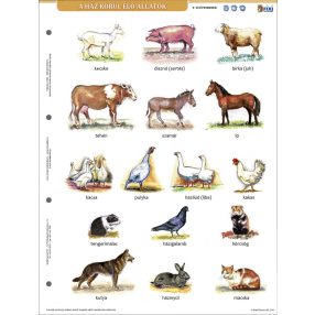   Ház körül élő állatok +munkaoldal tanulói munkalap- Animale domestice- fișă de studiu și de lucru